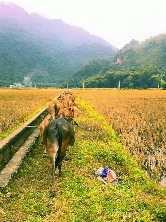 Hao Homestay Mai Chau Exterior photo