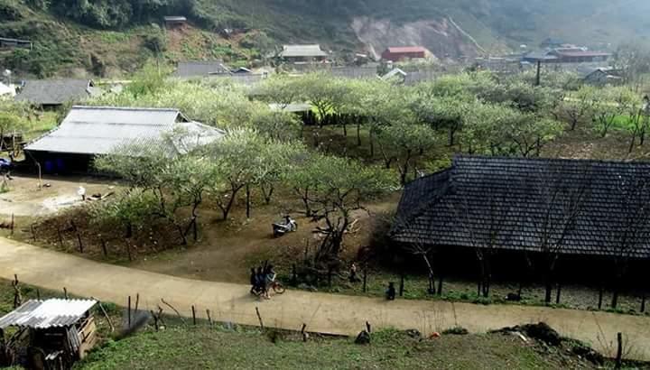 Hao Homestay Mai Chau Exterior photo